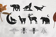 Celestial Animals, an Animal Illustration by PatrushevaYana (Thumbnail 3 of 10)