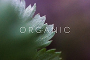 Organic | 20 Botanical Photos, a Nature Photo by Melanie Helena (Thumbnail 13 of 20)