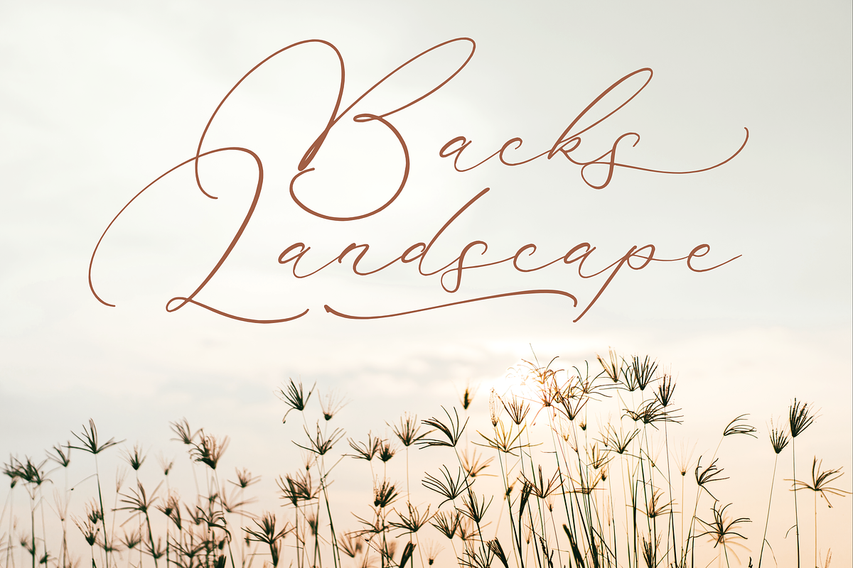 Madyntha Geradine Chic Calligraphy, a Script Font by Storytype Studio (Photo 3 of 15)