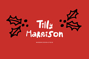 HOLLY JOLLY FONT & 97 ILLUSTRATIONS, a Handwritten Font by Favete Art (Thumbnail 18 of 24)