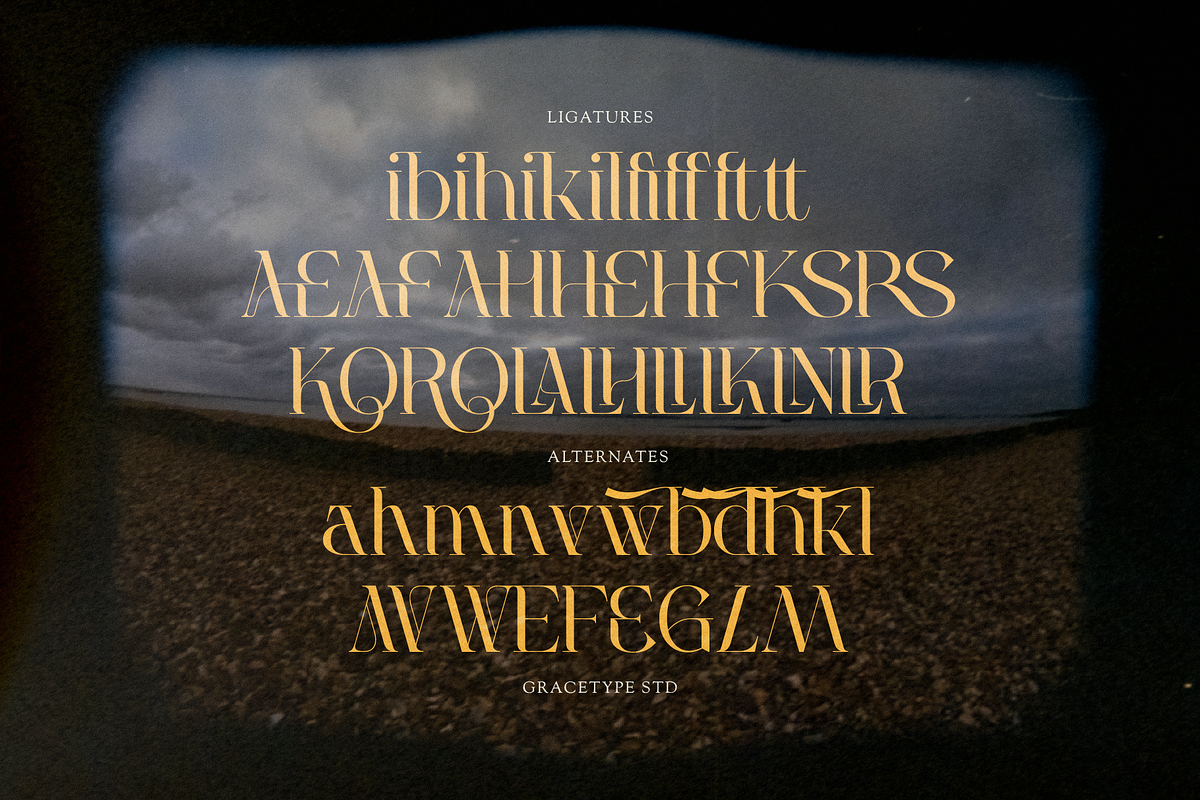 Welp Clair | Display Serif, a Serif Font by gracetype_studio (Photo 12 of 12)
