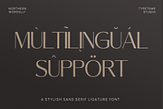 Northern Worssley - Ligature Sans, a Sans Serif Font by Typetemp Studio (Thumbnail 17 of 17)