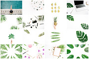 98% OFF | Tropical Bundle | 170 IN 1, a Photo by Floral Deco (Thumbnail 6 of 14)