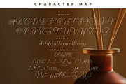 Fanttor Howery Font Duo, a Serif Font by Storytype Studio (Thumbnail 13 of 15)