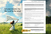Customer Support Resume Template, CV, a Resume Template by Career Canvas (Thumbnail 11 of 11)