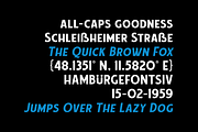 Chuck Noon Family, a Sans Serif Font by Twicolabs Fontdation (Thumbnail 6 of 16)