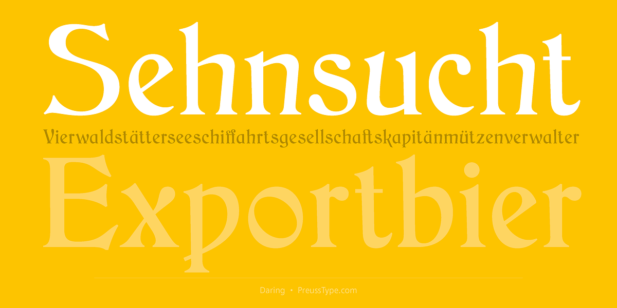 Daring, a Serif Font by preussTYPE (Photo 2 of 8)