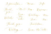 Collection of Wedding calligraphy, a Decorative Illustration by Olga Proz (Thumbnail 5 of 8)