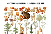 Forest Animals and trees PNG element, an Animal Illustration by JaneLane (Thumbnail 2 of 3)