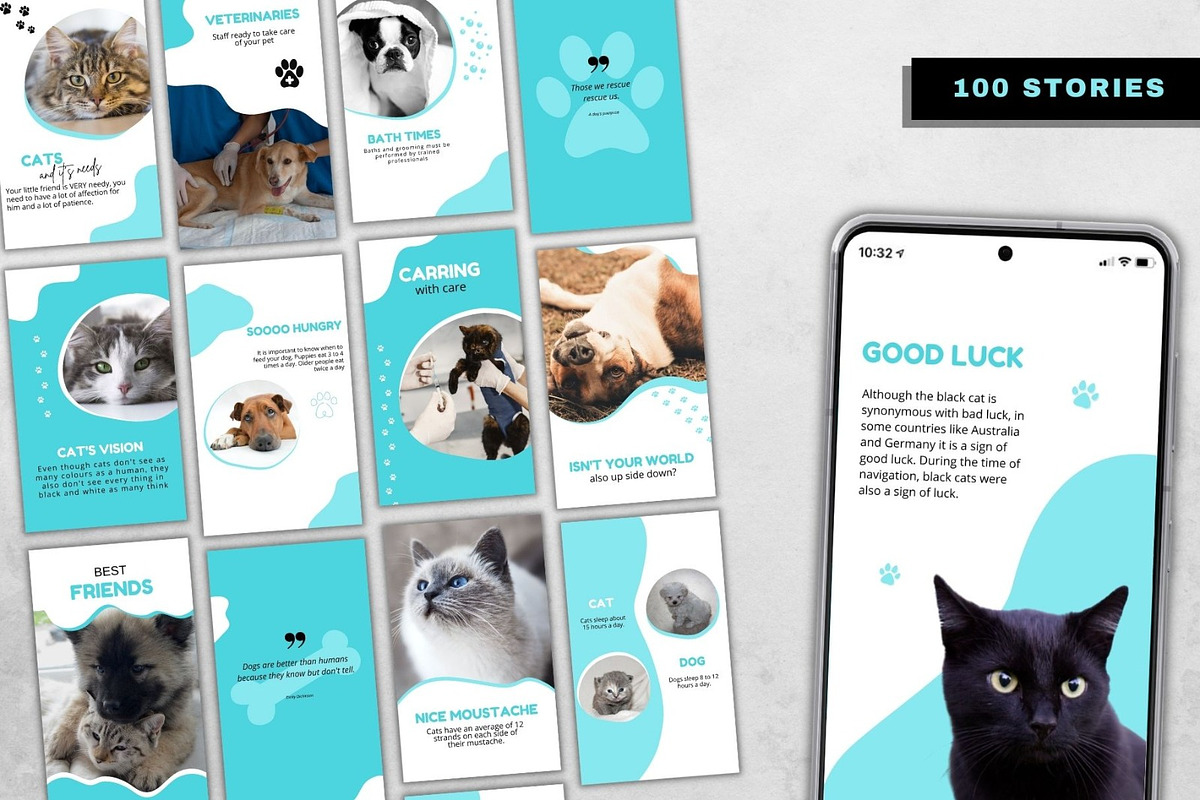 Pet Shop & Pet Care Social Media Kit, a Social Media Template by Gomes Web (Photo 3 of 5)