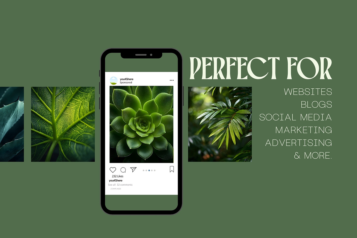160 Plant Leaves Stock Photos, a Nature Photo by Incomelion (Photo 2 of 15)