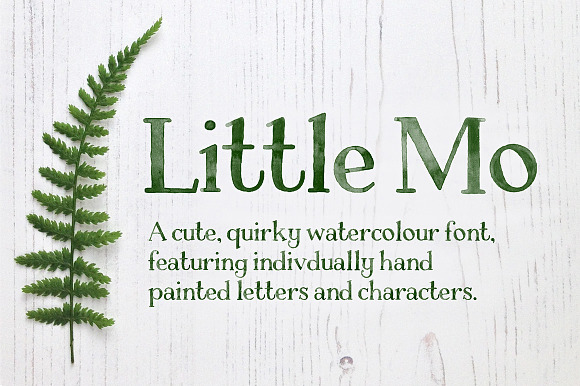 Little Mo Watercolour Display Font preview 8