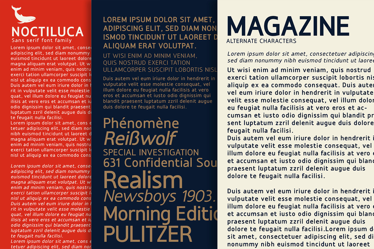 Noctiluca - Sans Serif Font Family, a Sans Serif Font by Artistic & Unique (Photo 15 of 15)