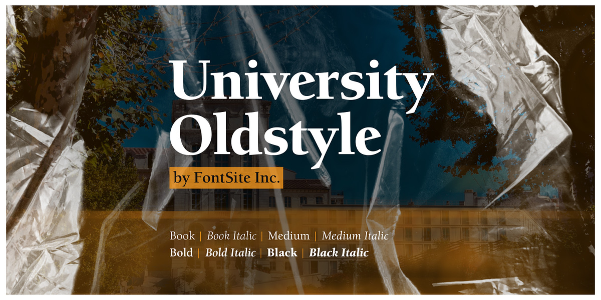 University Oldstyle, a Serif Font by FontSite Inc. (Photo 1 of 2)