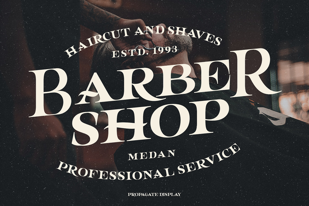 Propagate - Vintage Serif, a Sans Serif Font by Graptail (Photo 4 of 12)