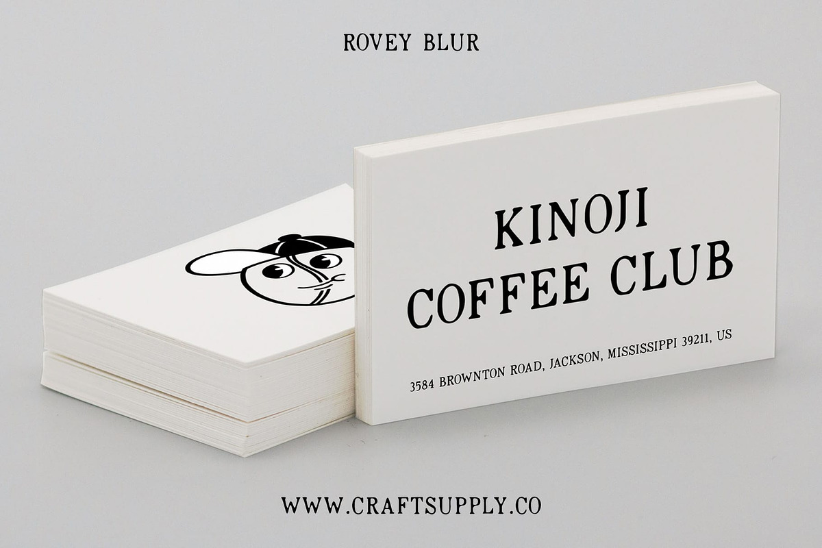 Rovey Blur, a Serif Font by Craft Supply Co. (Photo 3 of 8)