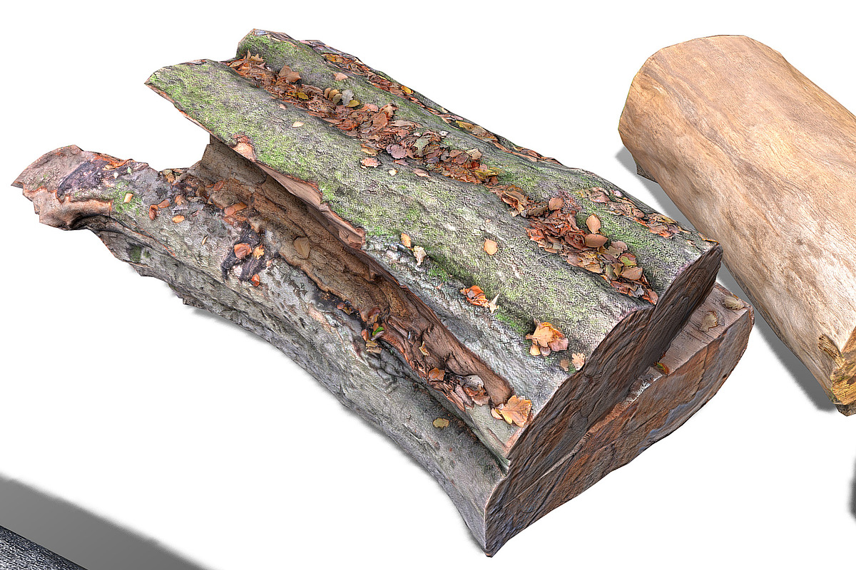 13 Tree Logs, an Environmental 3D Model by Beatheart Creative Studio (Photo 36 of 37)