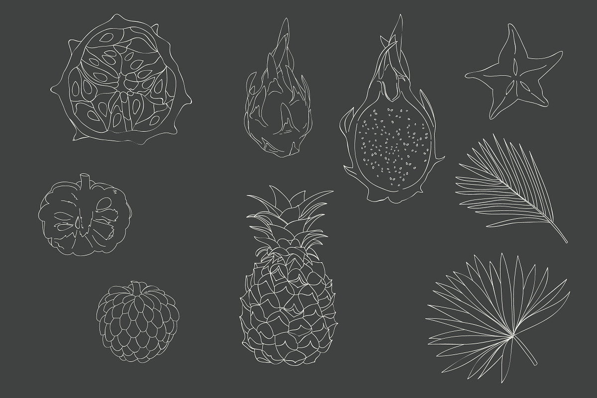 Vector tropical patterns set., a Pattern Graphic by Little A (Aigul) (Photo 2 of 5)