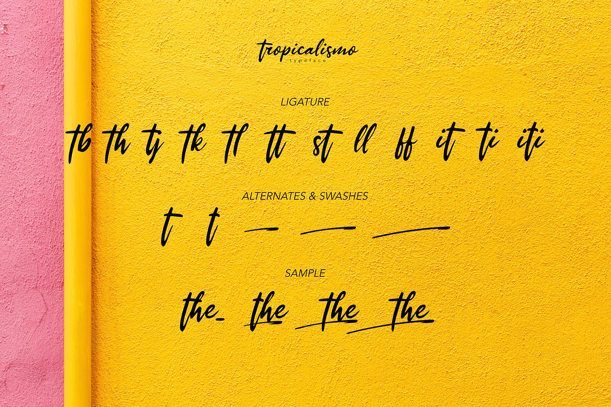 Tropicalismo Typeface, a Script Font by ikiiko (Photo 5 of 6)