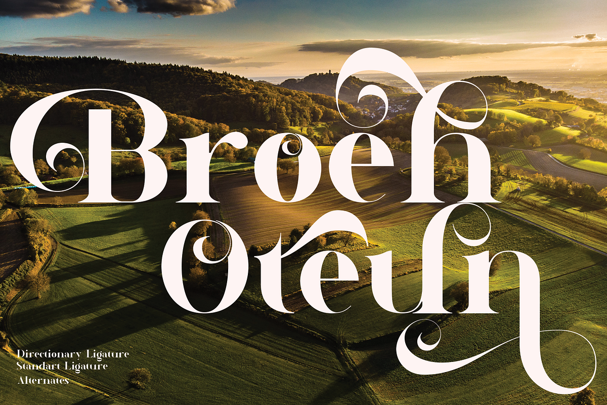 Nortika Serif Vintage Display, a Serif Font by LuhopCreative (Photo 4 of 13)