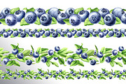 Blueberry. Watercolor collection, a Food Illustration by Daria Ustiugova (Thumbnail 21 of 25)