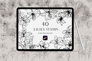 Lilies Stamps Procreate Bundle, a Brush Add-On by Dervik Art Store (Thumbnail 1 of 6)