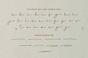 Golden Storyline - Elegant Font, a Script Font by Bluestype Studio (Thumbnail 10 of 10)
