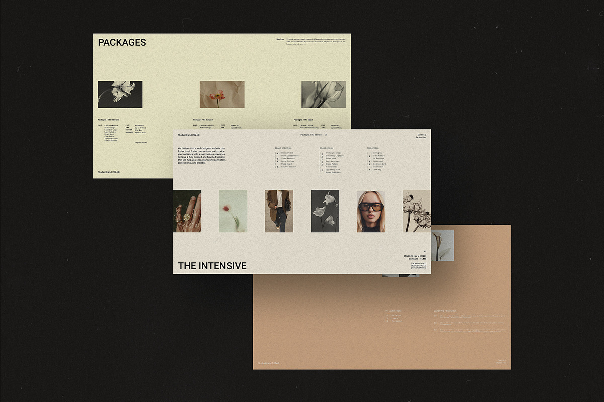 MIA I Services&Pricing Guide, a Presentation Template by Studio Brand (Photo 6 of 8)