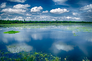 Natural landscape lack