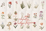 Hortus Vintage Flowers Prints, a Decorative Illustration by Digital Museum (Thumbnail 7 of 9)