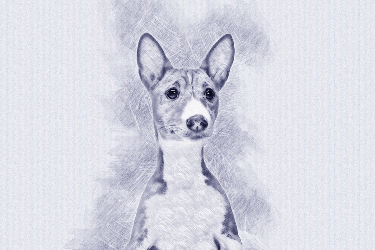 Incredible Sketching Effect, an Action Add-On by MRI STUDIO (Photo 14 of 16)