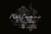 Nocturnus Handwritten Script Font, a Script Font by Up Up Creative (Thumbnail 1 of 15)