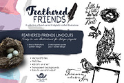 Feathered Friends Linocuts, an Illustration by WhiteRiverStudio (Thumbnail 2 of 10)