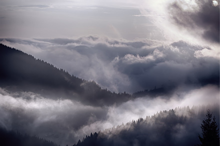 Foggy morning landscape, a Nature Photo by Nature and travel