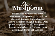 Awake Lonely - Swirl Serif Font, a Serif Font by Airotype (Thumbnail 10 of 14)
