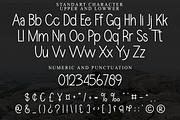 WINTER MORNING, a Handwritten Font by FreshTypeINK (Thumbnail 4 of 8)