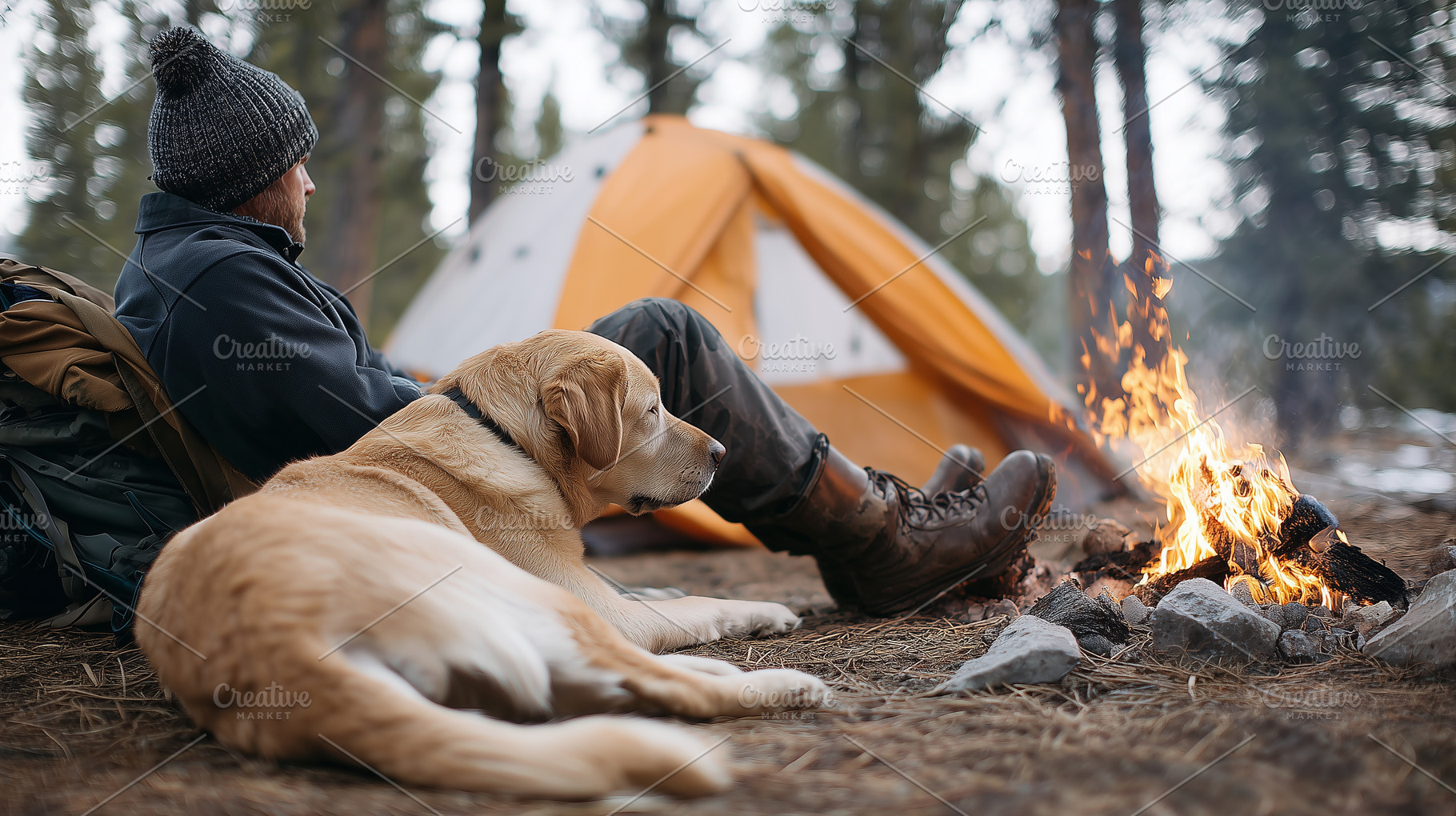 Man sitting by a campfire with dog, an Animal Photo by MistyDay