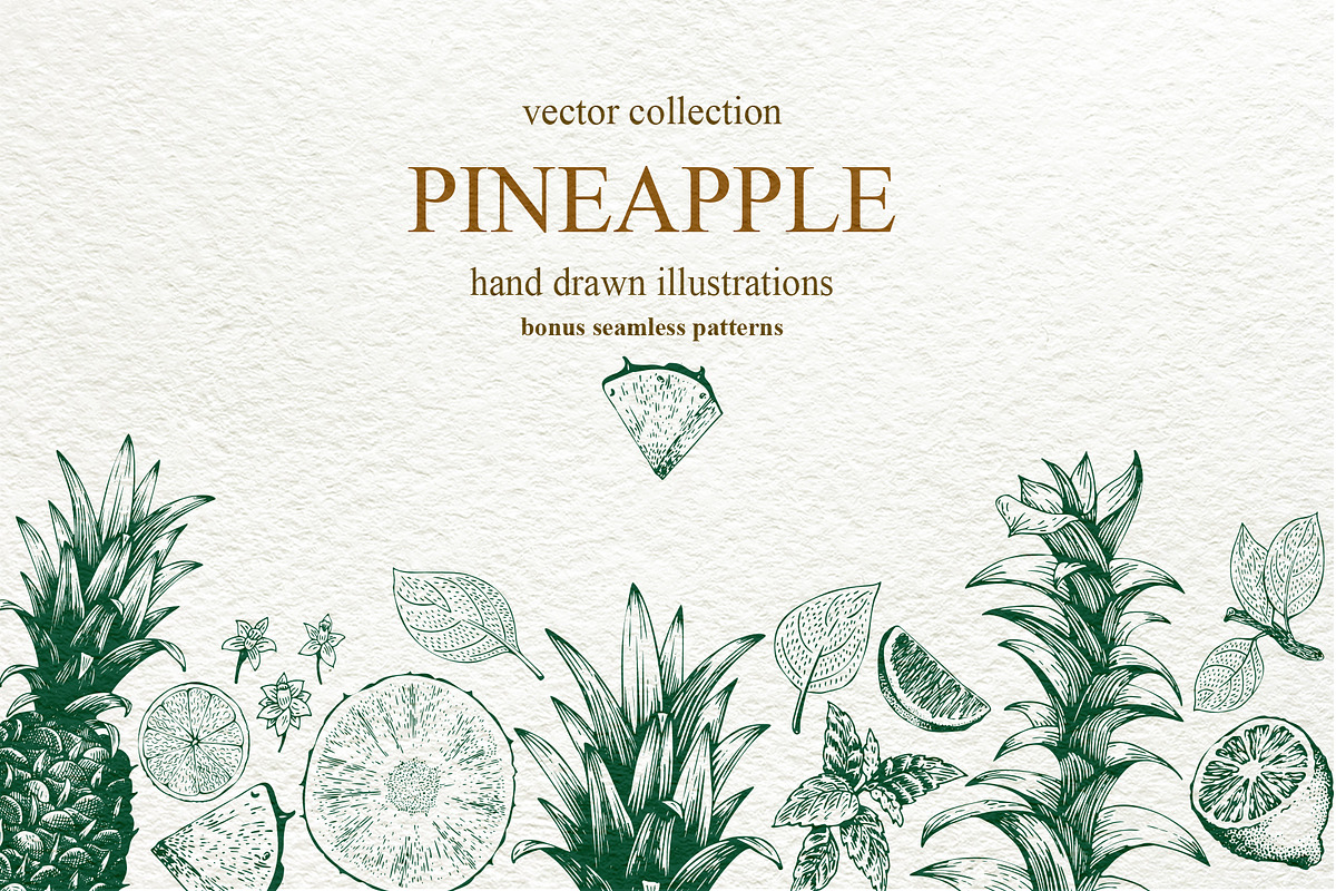Pineapple Vector Collection, a Food Illustration by Lubov Illustrations Shop (Photo 1 of 6)