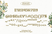 Klemer Display, a Font by Prioritype Co (Thumbnail 9 of 10)