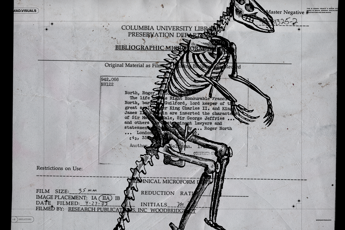 Skeletons & Bones, an Animal Illustration by Nomad Visuals (Photo 9 of 15)