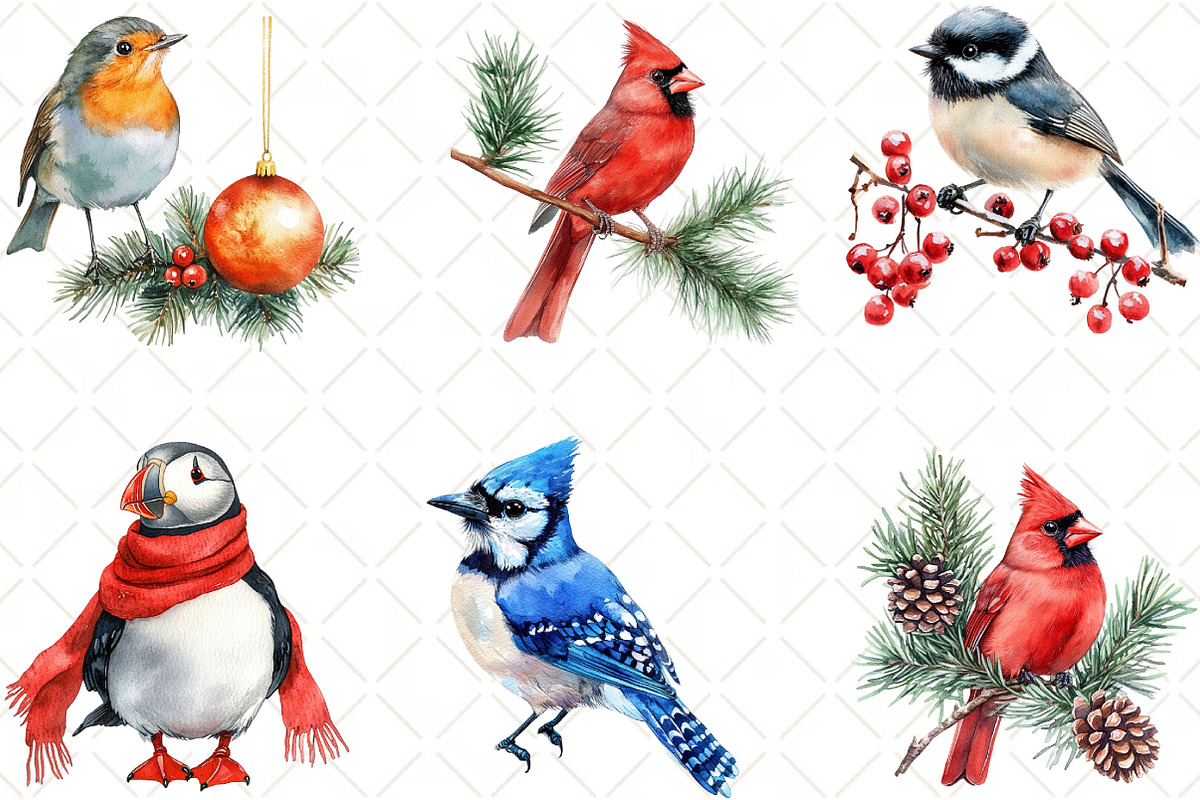 Winter Birds Christmas Clipart, an Illustration by Black Bird Studio (Photo 5 of 6)