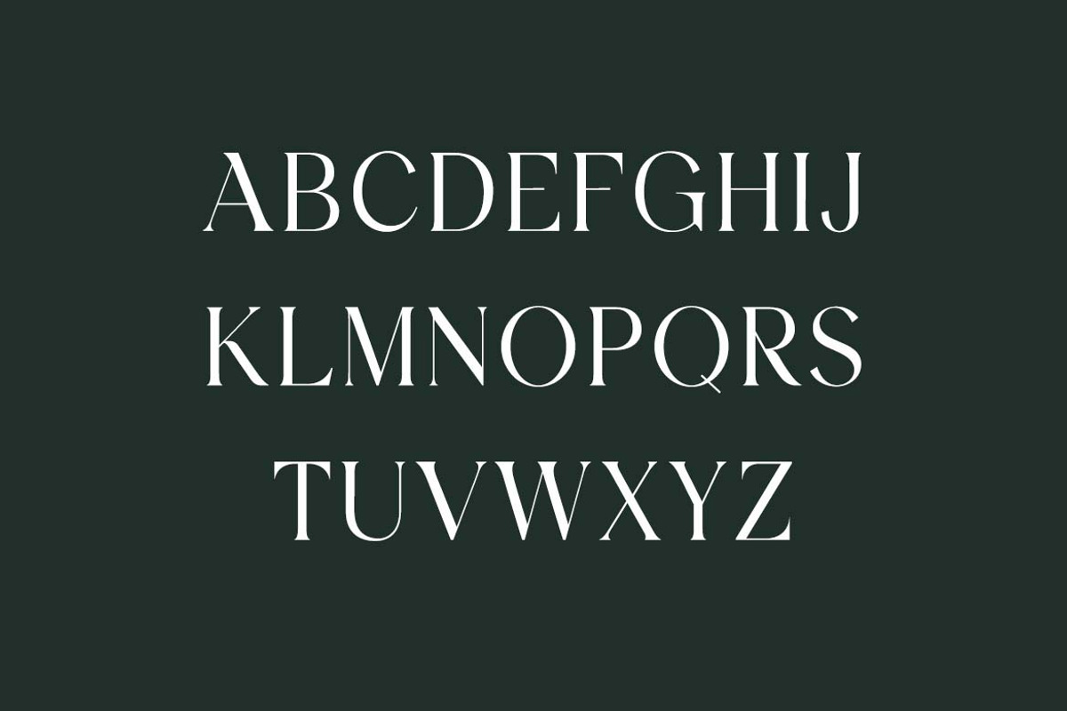 Blockstone Modern Display Serif Font, a Serif Font by UICreative (Photo 2 of 13)