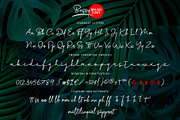 Bassy - Brush Font, a Script Font by erlosDESIGN (Thumbnail 14 of 14)