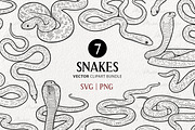 Snake Reptile Vector Line Art Set, an Animal Illustration by MadliArt (Thumbnail 1 of 4)