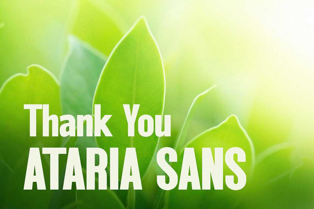 Ataria - Modern Condensed Sans, a Sans Serif Font by TypeLogue (Photo 5 of 5)
