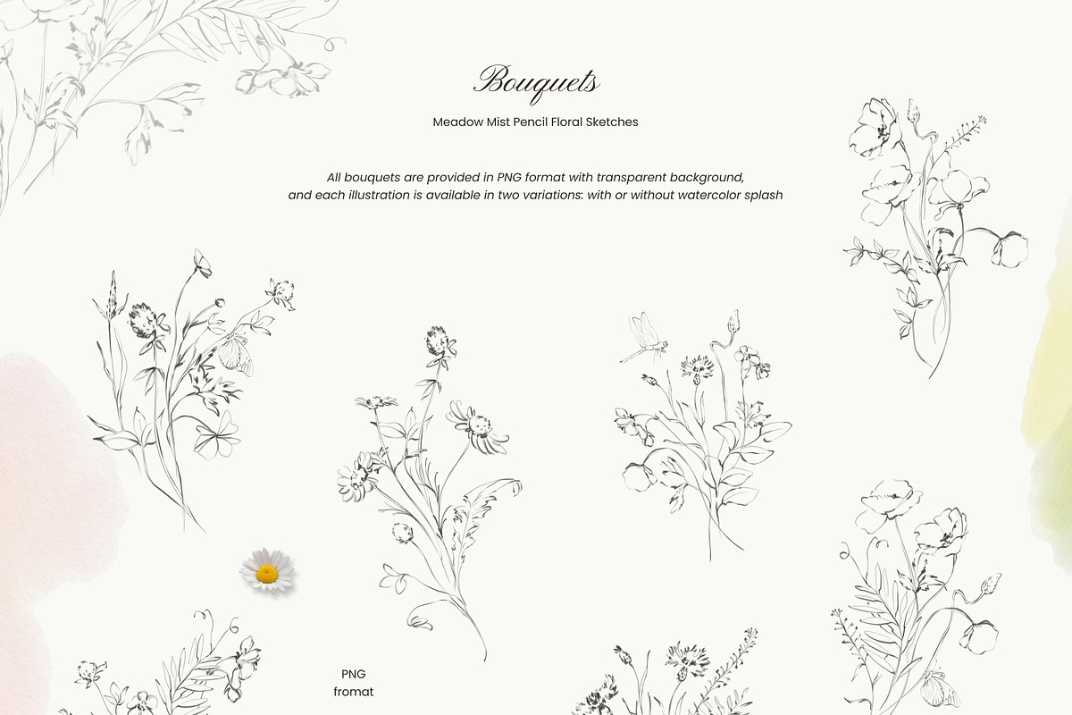 Meadow Mist: Pencil Floral Sketches, a Decorative Illustration by Yuliia Lashevska (Photo 6 of 12)