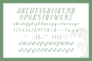 Marettimo Summer-Vibe Font, a Script Font by The Traveling Fox (Thumbnail 6 of 7)