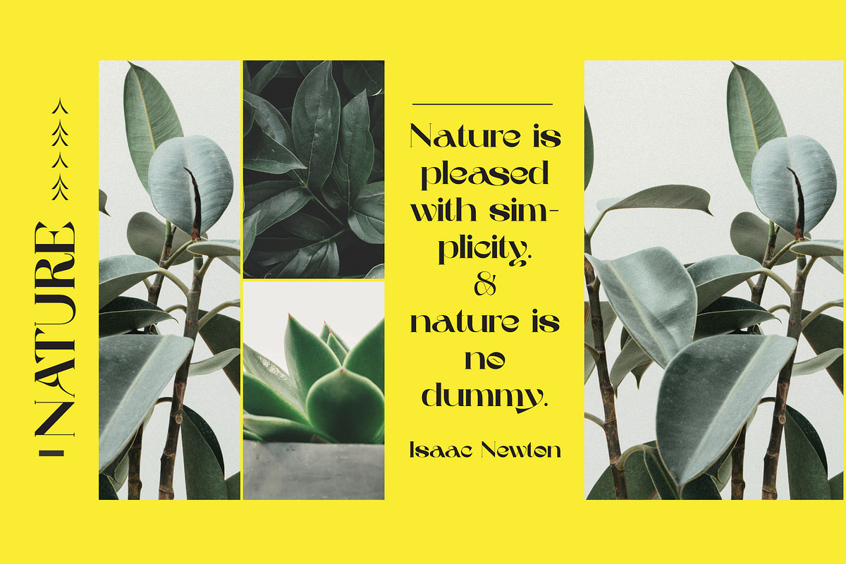 Wave Vero - Elegant Typeface, a Sans Serif Font by AuthenType (Photo 10 of 12)