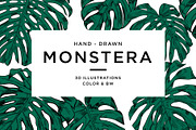 Green MONSTERA Leaves, an Illustration by Tanya Akhmett (Thumbnail 1 of 8)