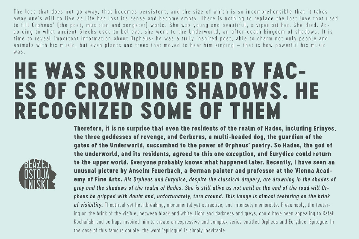 Cervo Neue 50% off, a Sans Serif Font by Blazej Ostoja Lniski (Photo 6 of 6)
